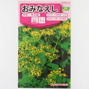 KS100シリーズ（草花） No.132 おみなえし 早生・多花種
