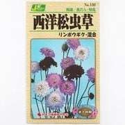 KS100シリーズ（草花） No.136 西洋松虫草 リンポウギク・混合