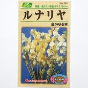 KS100シリーズ（草花） No.164 ルナリヤ 金のなる木