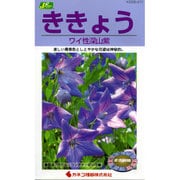 KS200シリーズ（草花） No.211 ききょう 矮性深山紫