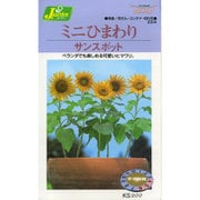 KS200シリーズ（草花） No.224 ミニひまわり サンスポット