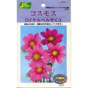 KS200シリーズ（草花） No.235 コスモス ロイヤルベルサイユ
