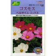 KS200シリーズ（草花） No.236 コスモス ベルサイユ・ミックス