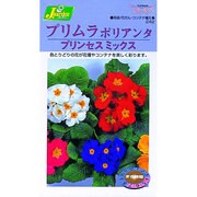 KS200シリーズ [プリムラポリアンタ プリンセスミックス 草花200 242]