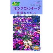 KS200シリーズ [リビングストンデージ 特選ミックス 草花200 248]