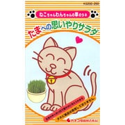 KS200シリーズ(草花) No.250 えん麦 たまへの思いやりサラダ(猫草)