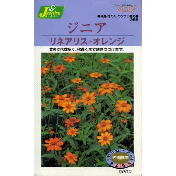 Ks0シリーズ 草花 No 256 オレンジ ジニア リネアリス セール価格