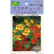 KS200シリーズ（草花） No.257 ナスタチューム ジュエル・ミックス