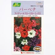 KS200シリーズ(草花) No.259 バーベナ アイディ-ルFミックス