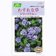 KS200シリーズ（草花） No.262 わすれな草 ドワーフブルー