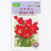 KS200シリーズ（草花） No.264 ゴテチャ 頂天咲き・旭盃