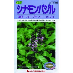 ヨドバシ Com カネコ種苗 ジェーガーデン J Garden Ks0シリーズ シナモンバジル 菓子 ハーブティー ポプリ 草花0 278 通販 全品無料配達