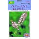 ペパーミント 香水 ボブリ ティー 草花200 282 KS200シリーズ