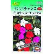KS300シリーズ [インパチェンス F1カラーパレード ミックス 草花300 304]