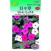 KS300シリーズ [日々草 リトル ミックス 草花300 305]