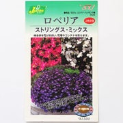 KS300シリーズ(草花) No.306 ロベリア ストリングス・ミックス