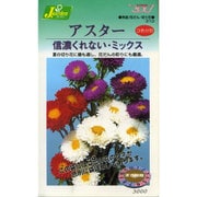 KS300シリーズ（草花） No.310 アスター 信濃くれない・ミックス