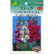 KS300シリーズ（草花） No.313 ストック ノンブランチングミックス