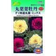 丸葉葉牡丹 F1特選丸葉 ミックス 草花300 315 KS300シリーズ