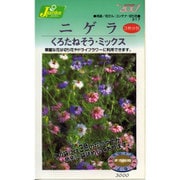 KS300シリーズ（草花） No.317 ニゲラ くろたねそう・ミックス