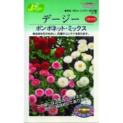 KS300シリーズ [デージ ボンボネット ミックス 草花300 318]