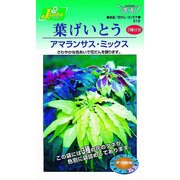 KS300シリーズ [葉げいとう アマランサス ミックス 草花300 319]