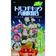 KS300シリーズ [トルコギキョウ 八重咲混合 草花300 323]