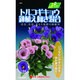 トルコギキョウ 鉢植え向き混合 草花300 324 KS300シリーズ