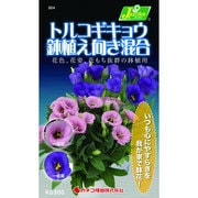 KS300シリーズ [トルコギキョウ 鉢植え向き混合 草花300 324]