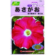 KS150シリーズ [あさがお 巨大輪咲き 赤に白 草花150 704]
