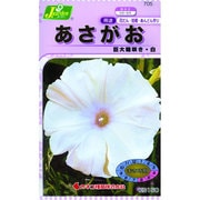 KS150シリーズ [あさがお 巨大輪咲き 白 草花150 705]