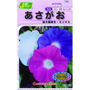 KS150シリーズ [あさがお 巨大輪咲き ミックス 草花150 706]
