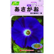 KS150シリーズ [あさがお 巨大輪咲き 紫 草花150 707]