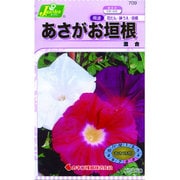 KS150シリーズ [あさがお垣根 混合 草花150 709]