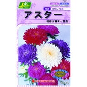 KS150シリーズ [アスター 切花大輪咲 混合 草花150 712]