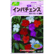 KS150シリーズ [インパチェンス カラーパレード混合 草花150 713]