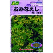 KS150シリーズ [おみなえし 早生 多花種 草花150 718]