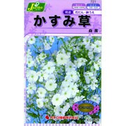 KS150シリーズ [かすみ草 白花 草花150 721]