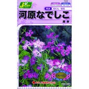 KS150シリーズ [河原なでしこ 混合 草花150 722]