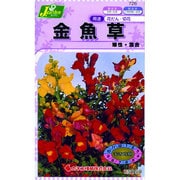 KS150シリーズ [金魚草 矮性 混合 草花150 726]