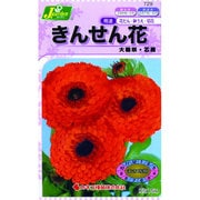 KS150シリーズ [きんせん花 大輪咲 芯黒 草花150 729]