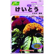 KS150シリーズ [けいとう とさか 混合 草花150 730]
