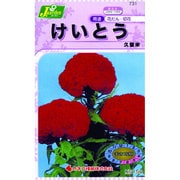 KS150シリーズ [けいとう 久留米 草花150 731]