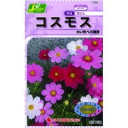 KS150シリーズ [コスモス わい性ベガ混合 草花150 735]