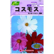 KS150シリーズ [コスモス センセーション 混合 草花150 737]