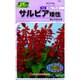 サルビア矮性 ホットジャズ 草花150 742 KS150シリーズ