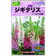 KS150シリーズ [ジギタリス ノートルダムの鐘 草花150 743]