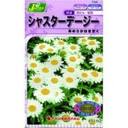 KS150シリーズ [シャスターデージー あめりかはまぎく 草花150 744]