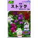 ストック あらせいとう 混合 草花150 749 KS150シリーズ
