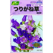 KS150シリーズ [つりがね草 風鈴草 草花150 756]